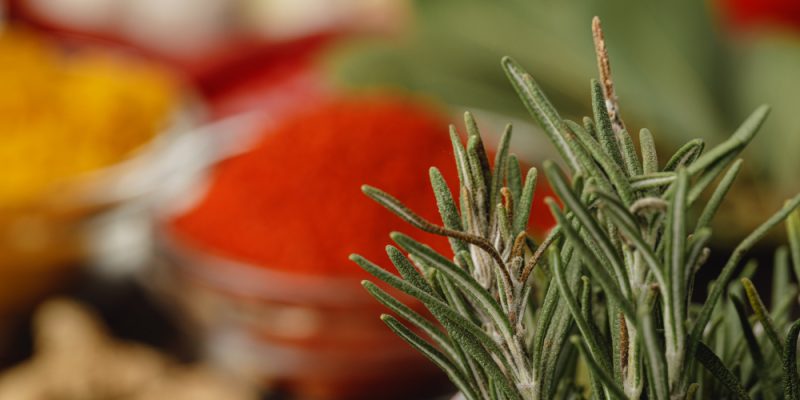 especieradelnorte_especias-hierbas-01